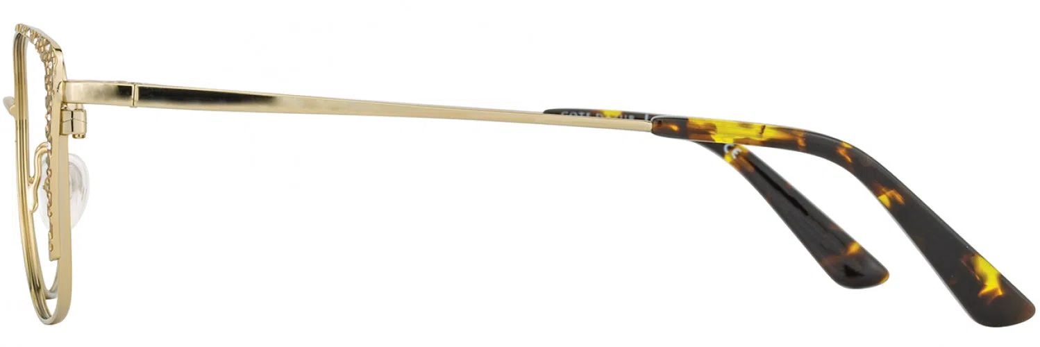 Cote DAzur CDA330 Eyeglasses - view 17